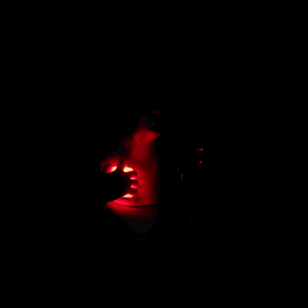 lumier1