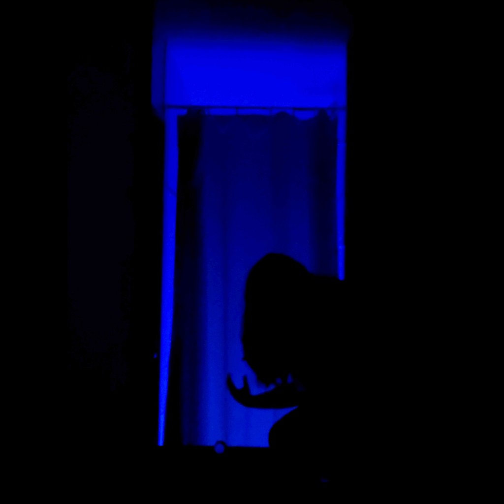 lumier6